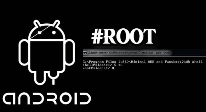 root